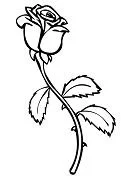Roses Coloring Pages 2