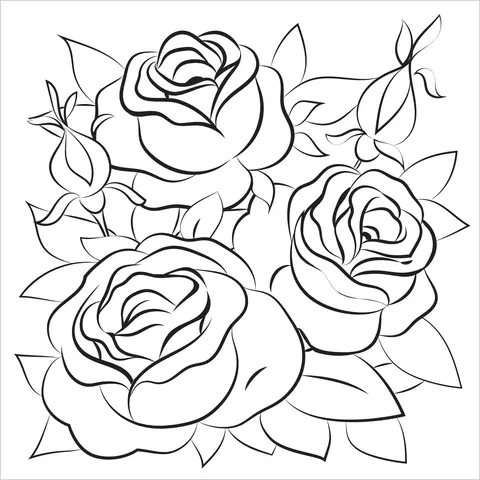 Roses Coloring Pages 22