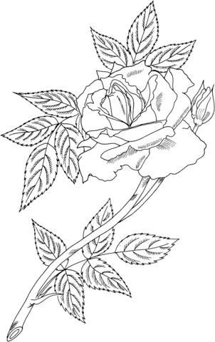 Roses Coloring Pages 38