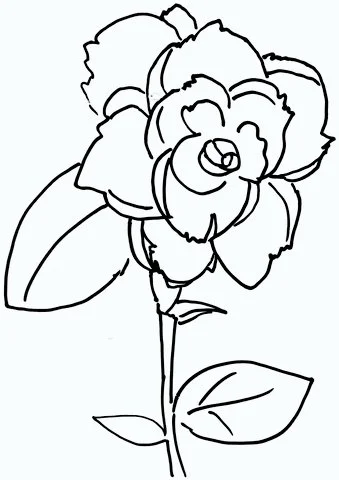 Roses Coloring Pages 64