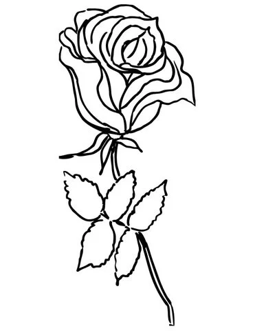 Roses Coloring Pages 77