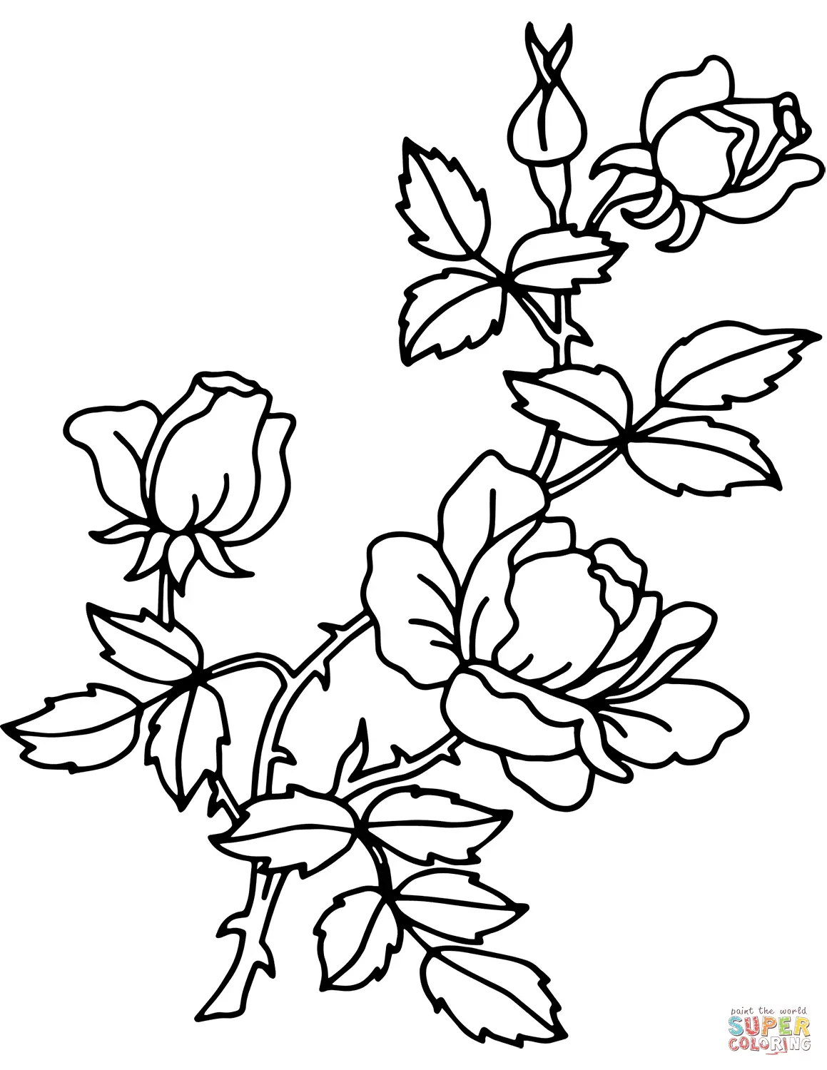 Rosas Para Colorear