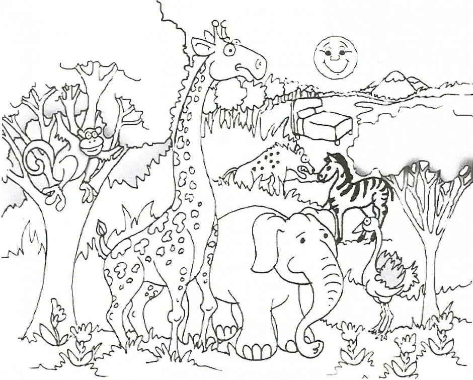 Desenhos de Animais Do Safari Para Colorir 3