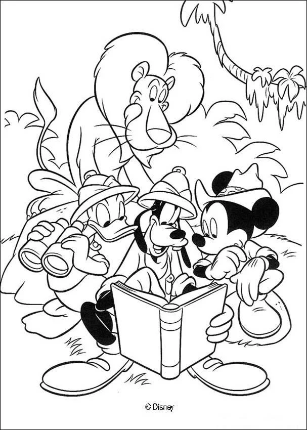 Desenhos de Animais Do Safari Para Colorir 5