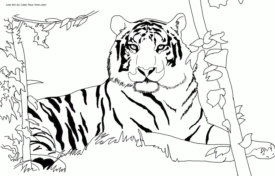 Safari Animals Coloring Pages