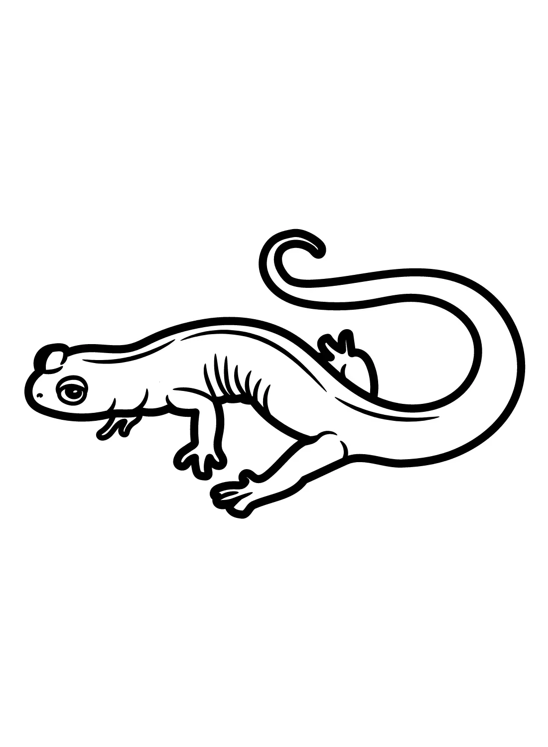 Salamander Coloring Pages 10