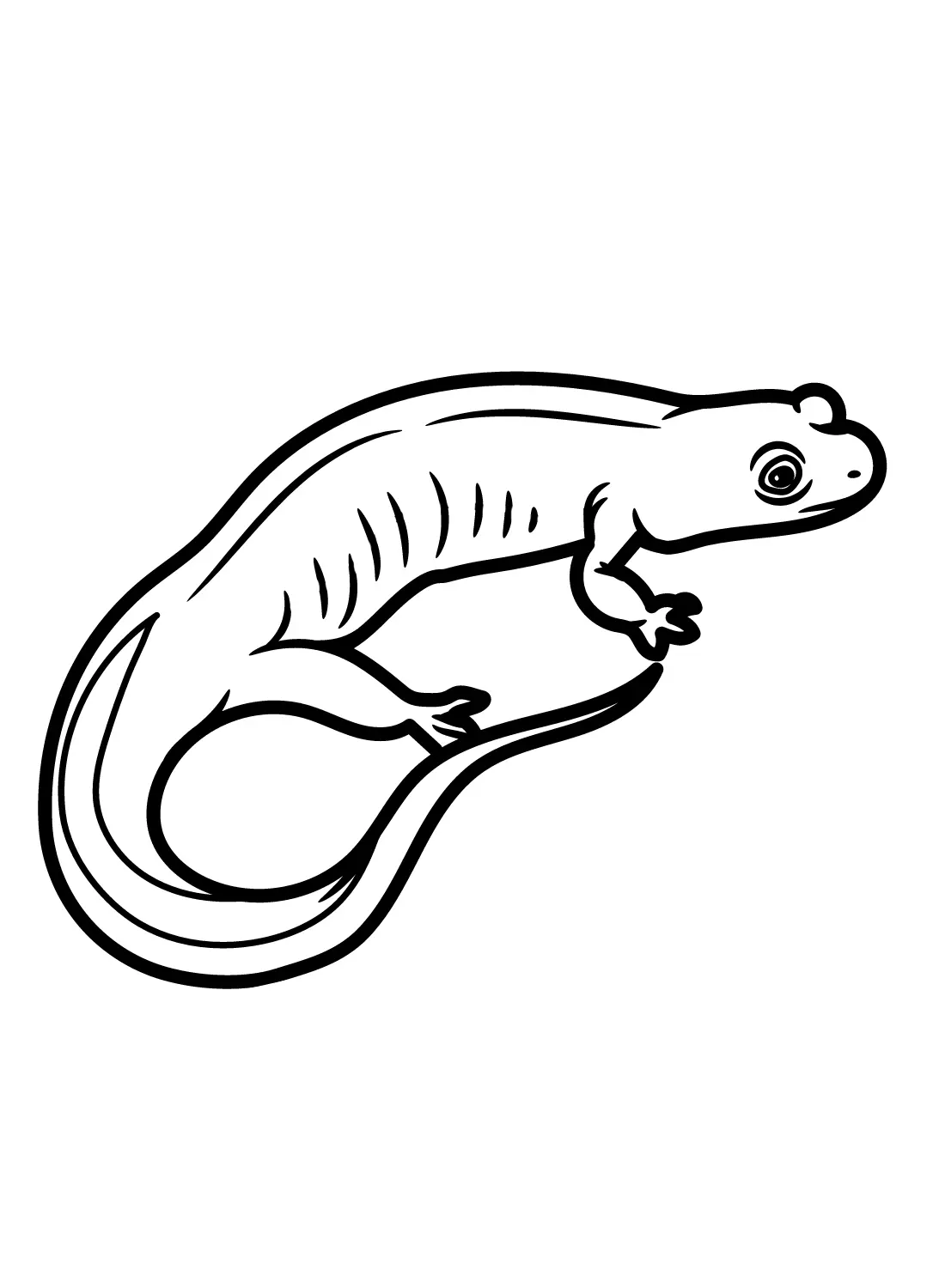 Salamander Coloring Pages 13