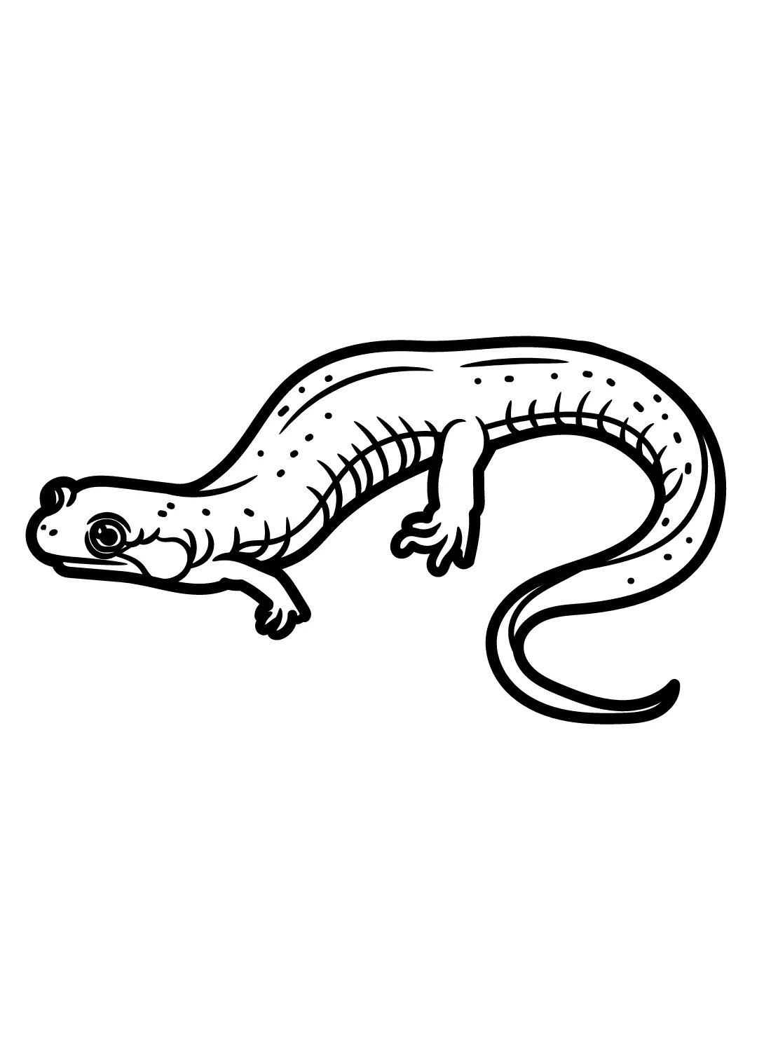Salamander Coloring Pages 15