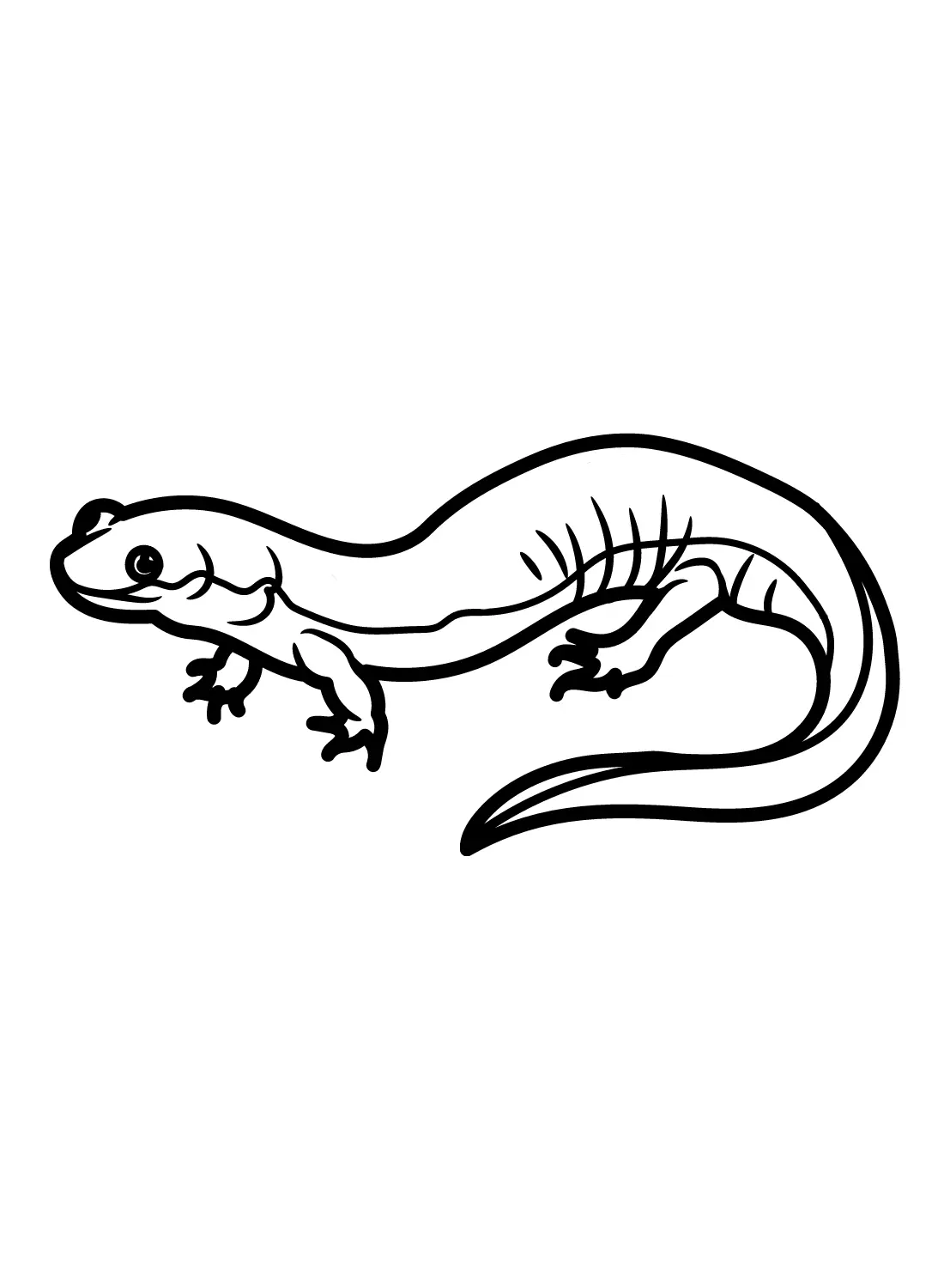 Salamander Coloring Pages 19