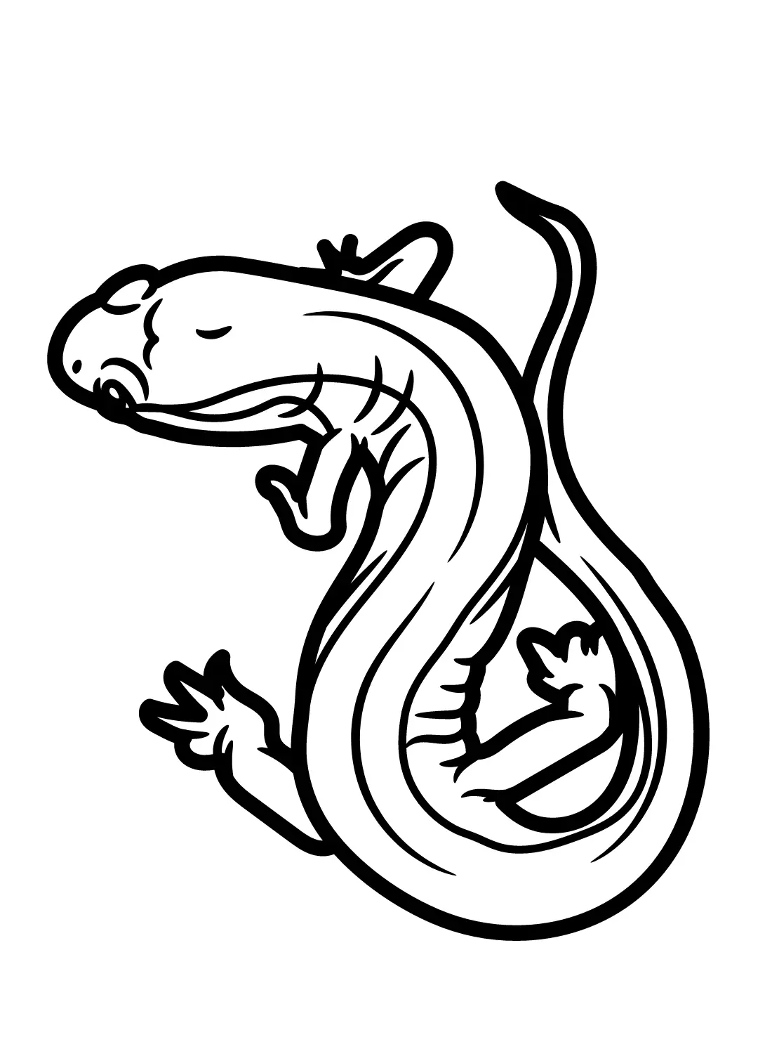 Salamander Coloring Pages 20