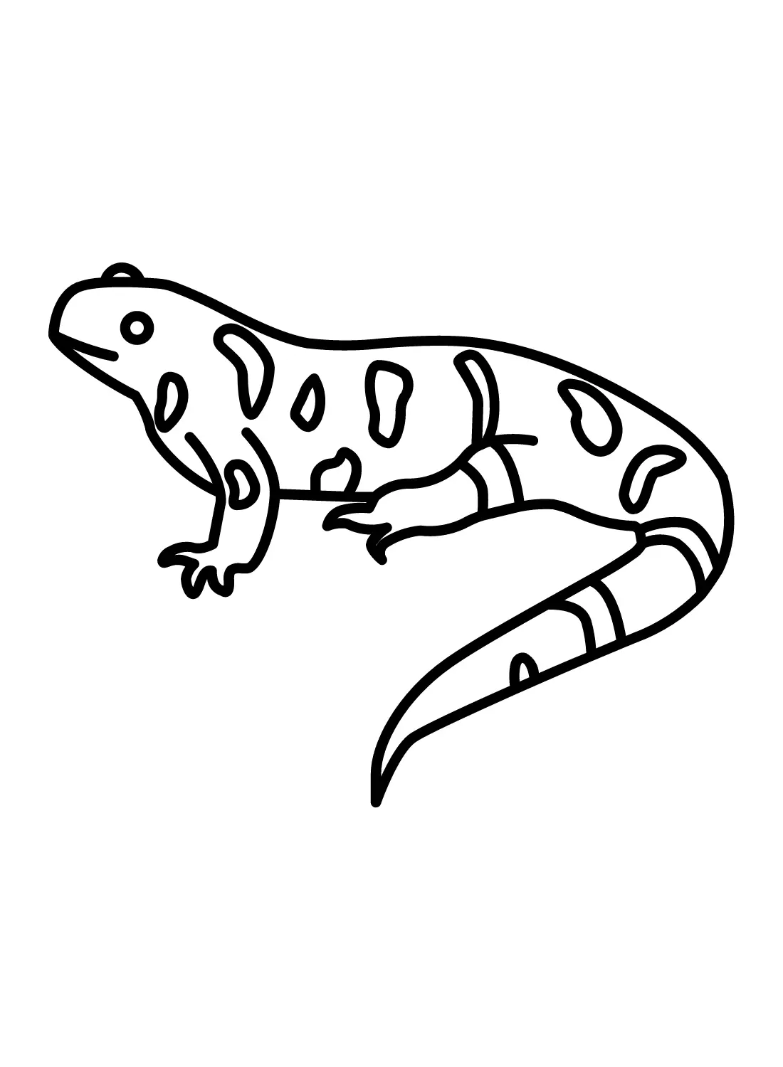 Salamander Coloring Pages 21