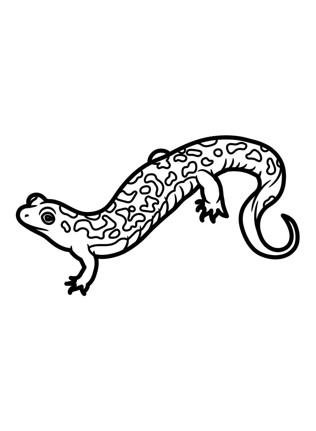 Salamander Coloring Pages 22