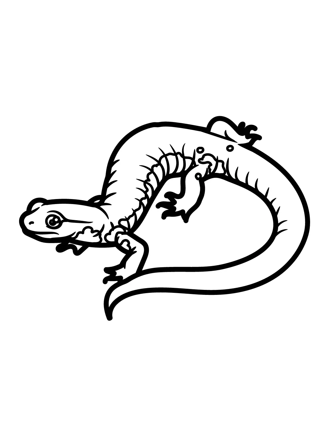 Salamander Coloring Pages 23