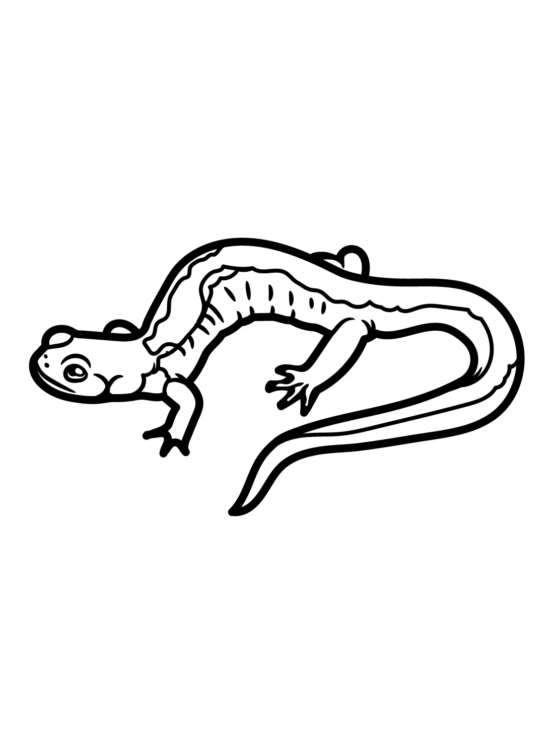 Salamander Coloring Pages 24