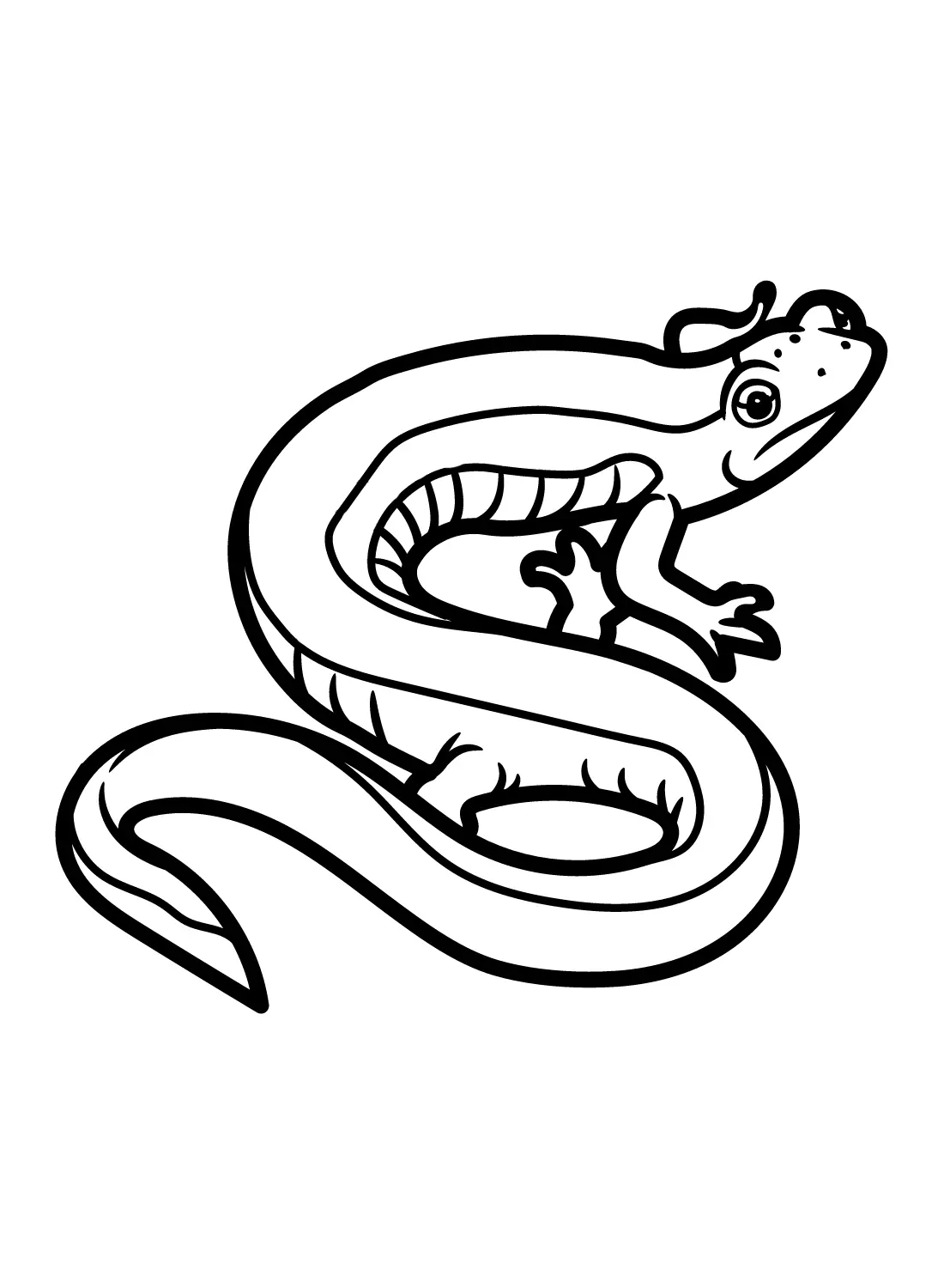 Salamander Coloring Pages 25