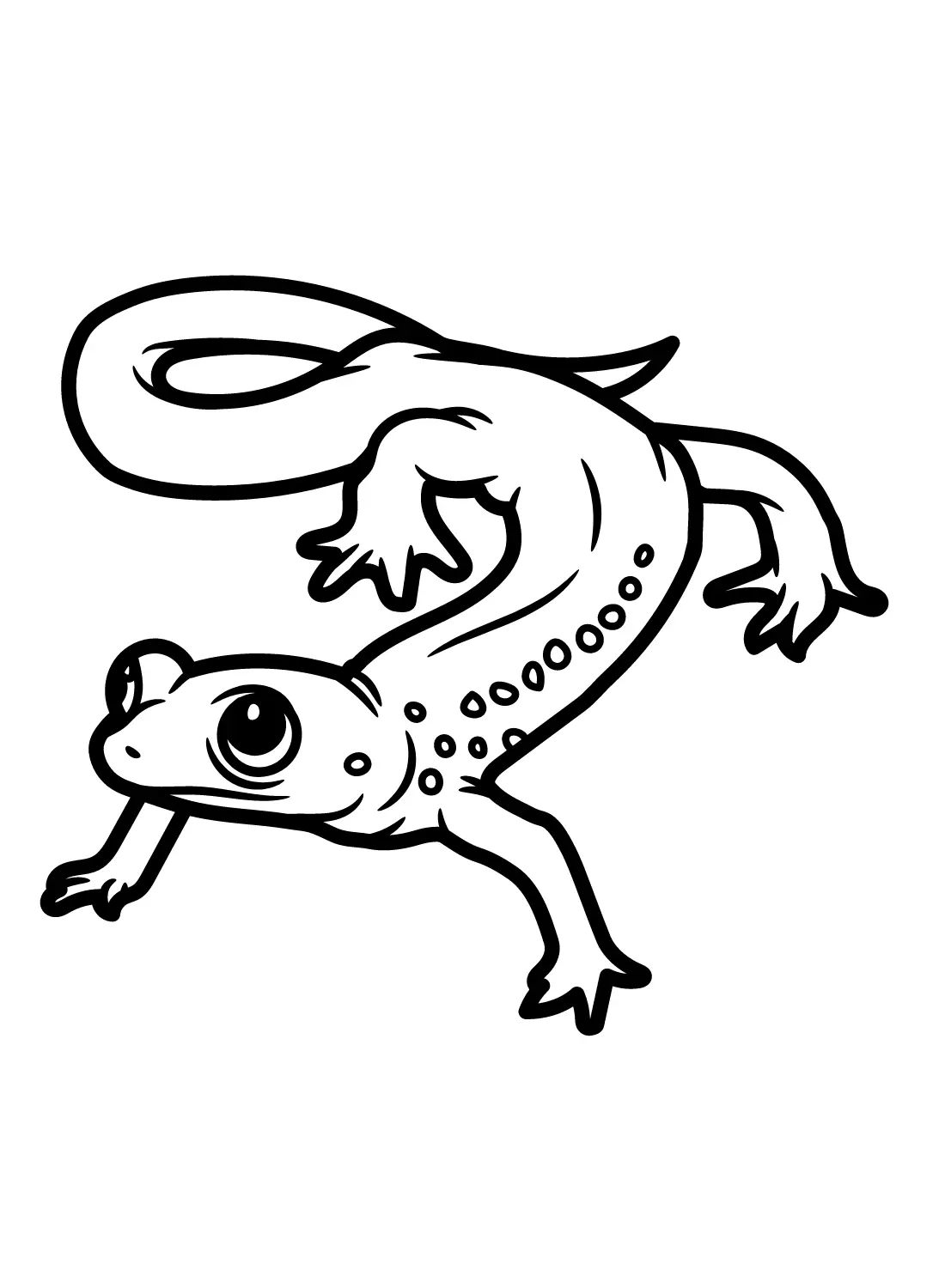 Salamander Coloring Pages 7