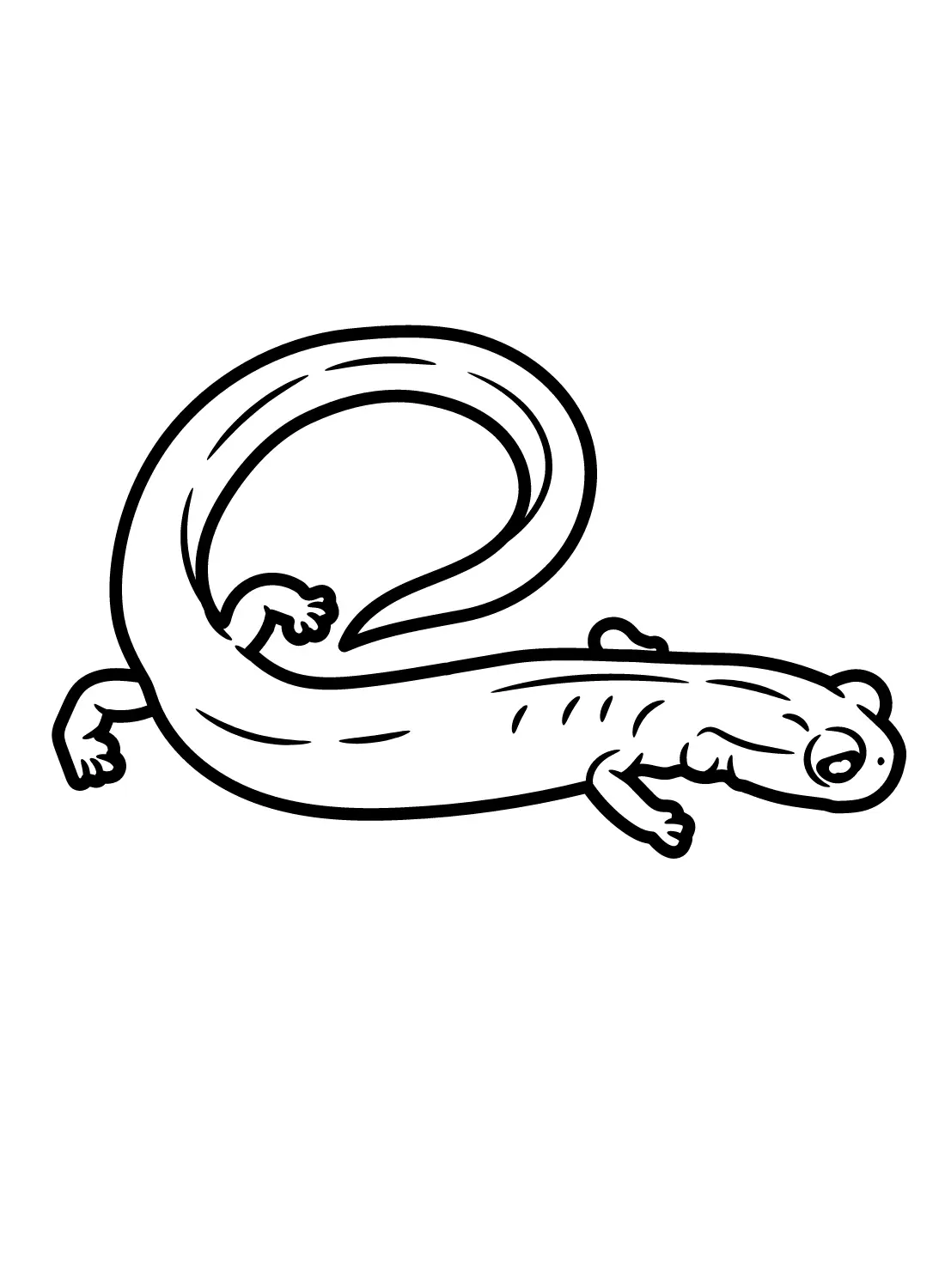 Salamander Coloring Pages 9
