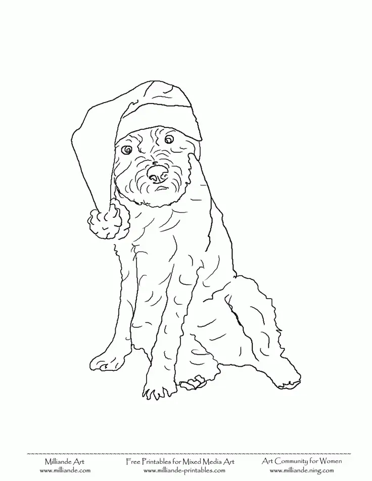 Santa Hat Coloring Pages 25