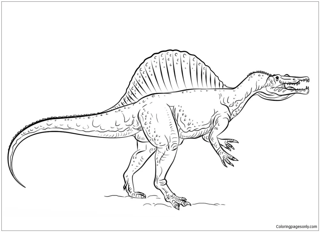 Saurischian Dinosaurs Coloring Pages 13