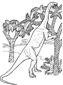 Saurischian Dinosaurs Coloring Pages 20