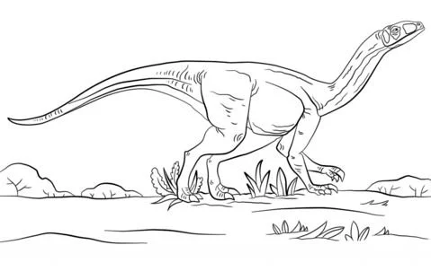 Saurischian Dinosaurs Coloring Pages 21
