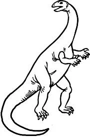 Saurischian Dinosaurs Coloring Pages 22