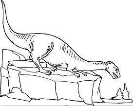 Saurischian Dinosaurs Coloring Pages 28
