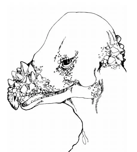 Saurischian Dinosaurs Coloring Pages 33