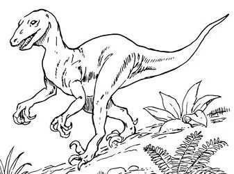Saurischian Dinosaurs Coloring Pages 8