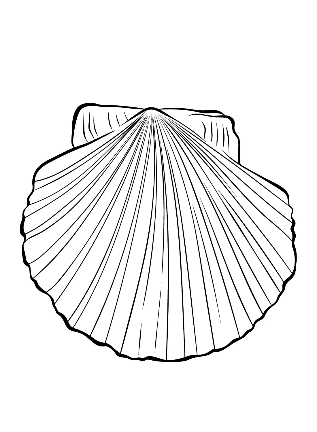 Jakobsmuscheln Ausmalbilder 19