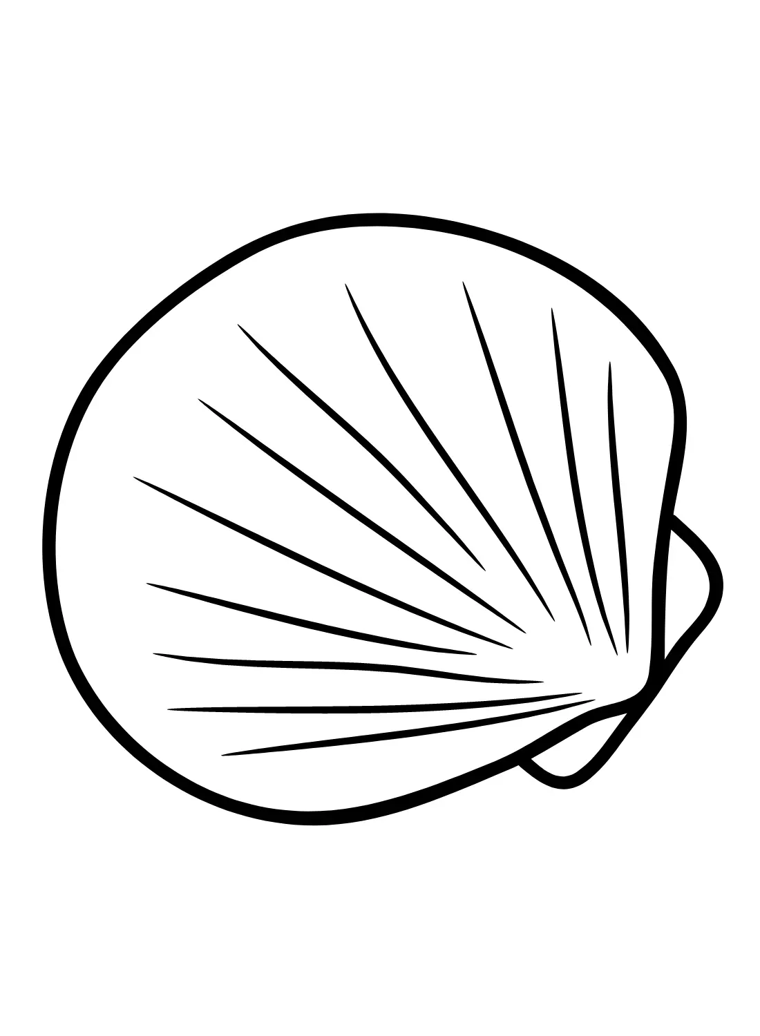Jakobsmuscheln Ausmalbilder 25