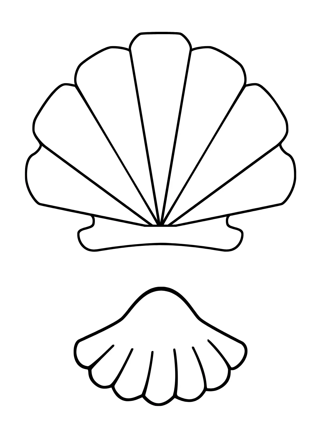Jakobsmuscheln Ausmalbilder 8