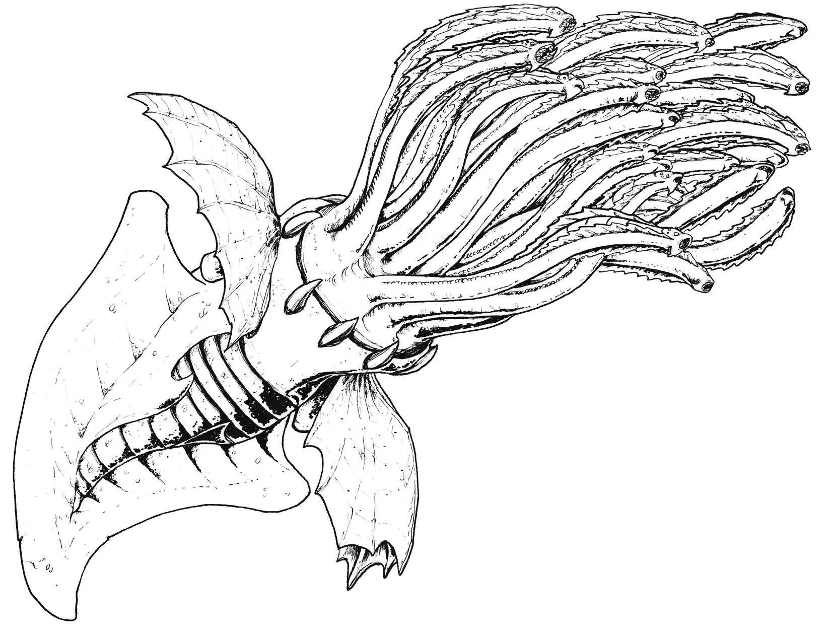 Monstro Marinho Paginas para Colorir 32