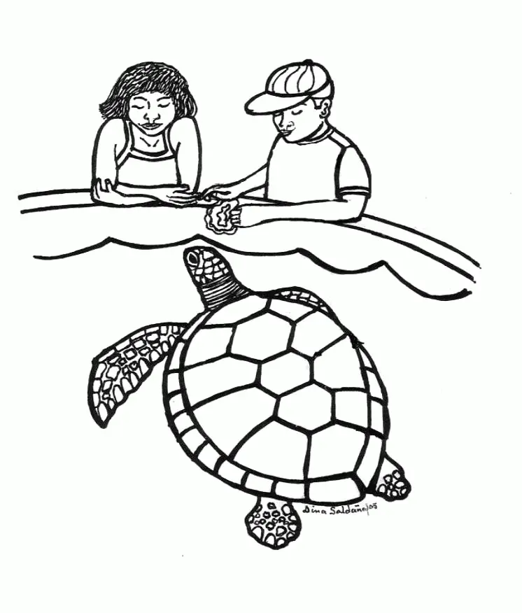Tortugas Marinas Para Colorear 1