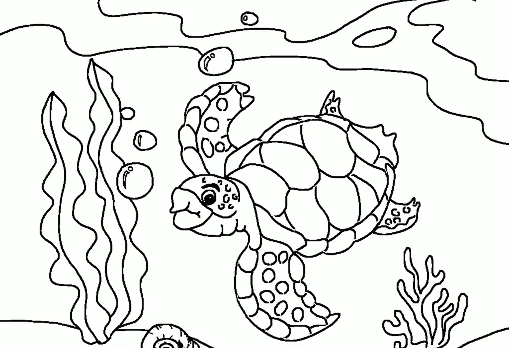 Tortugas Marinas Para Colorear 19