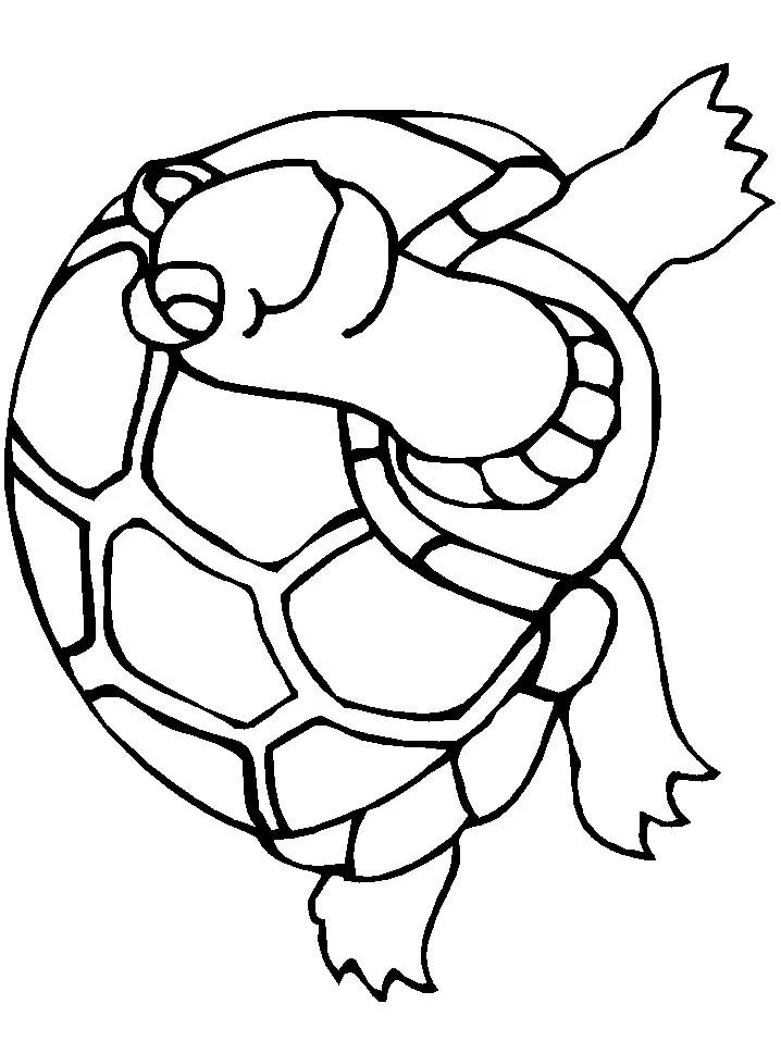 Tortugas Marinas Para Colorear 20