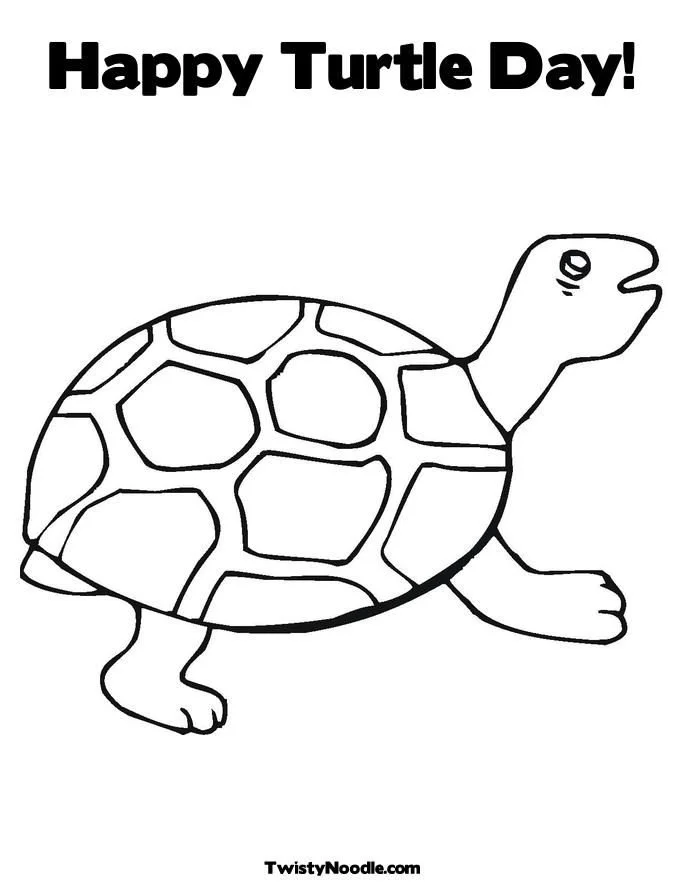 Tortugas Marinas Para Colorear 37