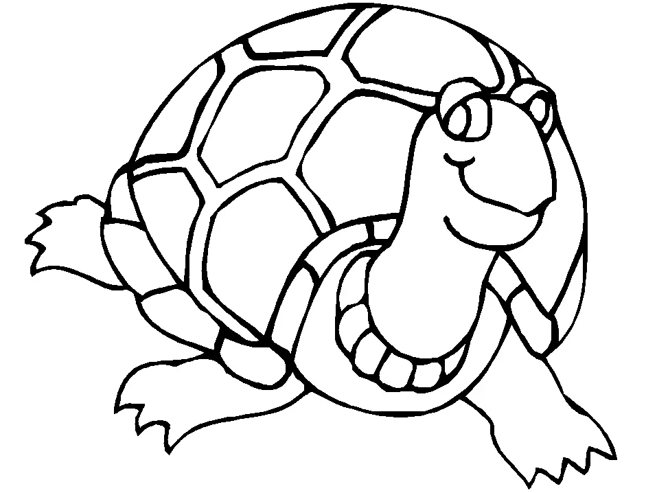 Tortugas Marinas Para Colorear 4