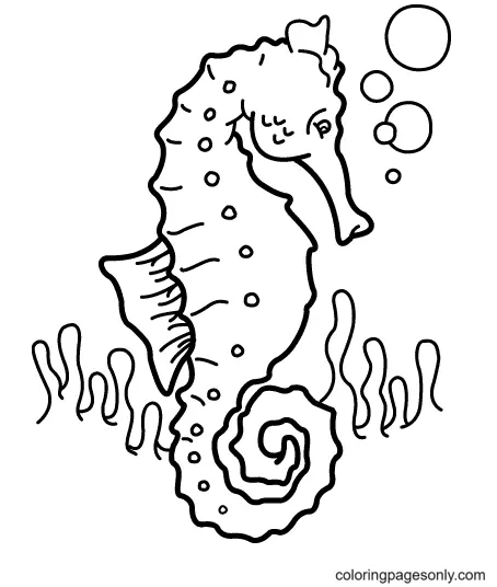 Seepferdchen Ausmalbilder 27