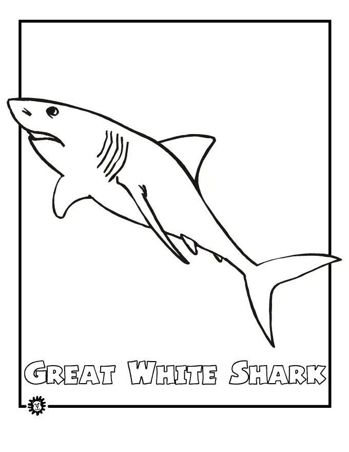 Shark Coloring Pages 10