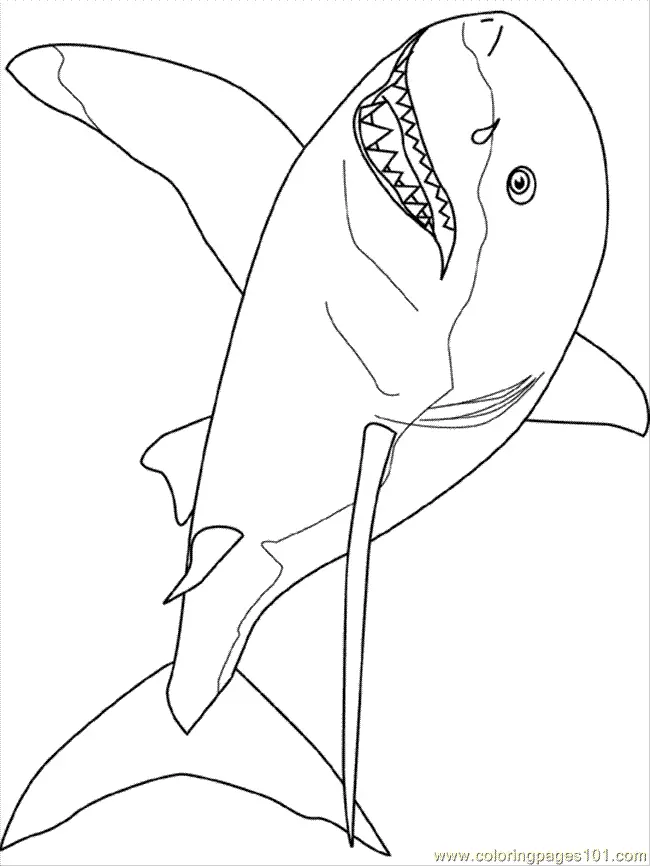 Shark Coloring Pages 11