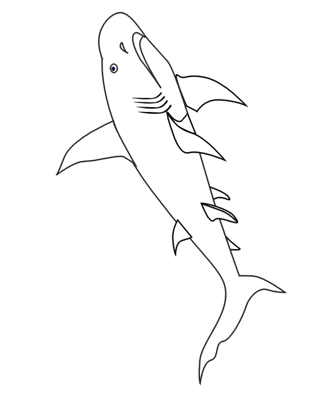 Shark Coloring Pages 24