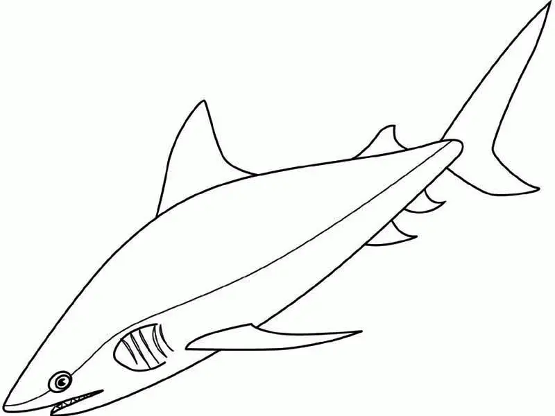 Shark Coloring Pages 29