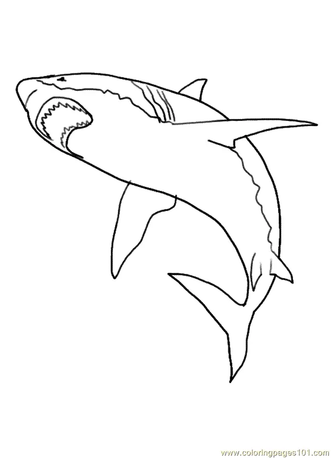Shark Coloring Pages 32