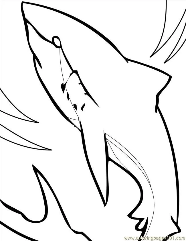 Shark Coloring Pages 44