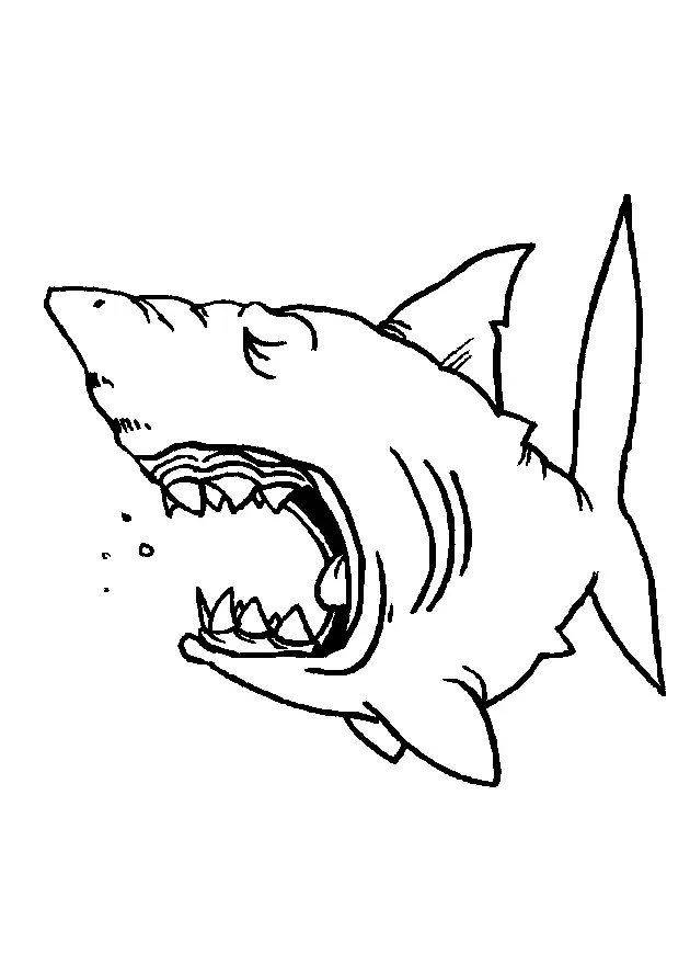Shark Coloring Pages 46
