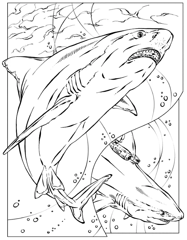 Shark Coloring Pages 49