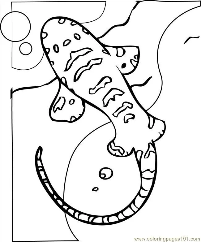 Shark Coloring Pages 51