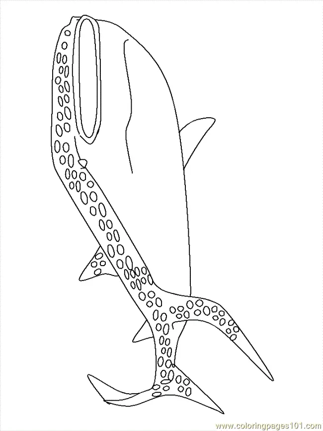 Shark Coloring Pages 71