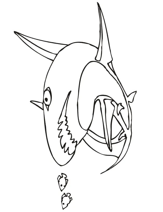 Shark Coloring Pages 79